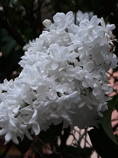 20190510_200857.jpg