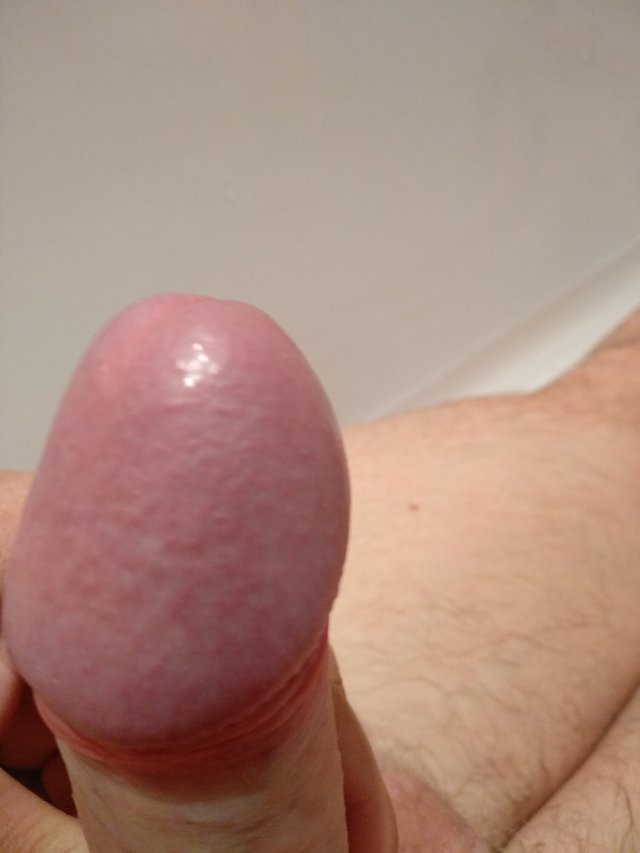 OstreCaro16