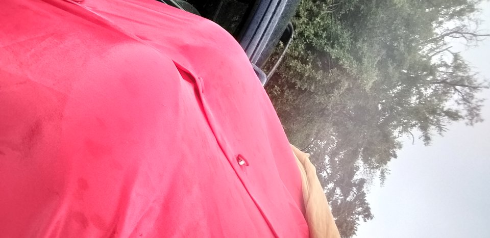 20190513_175816.jpg - apaszka777