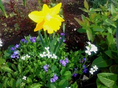20190514_100829.jpg