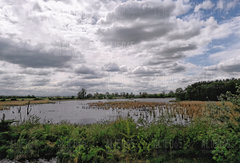 20190514_183126.jpg
