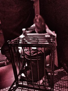 IMG-20190512-WA0116.jpg