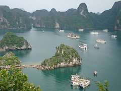 DSC_3916.JPG