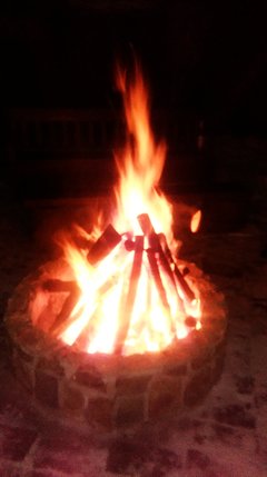 IMAG0527.jpg