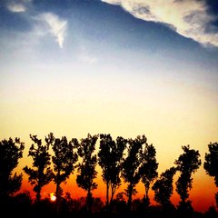 88B902E3-D4D6-45AE-A447-5A26E2D1FECE.jpeg