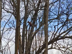 20190407_125346_HDR.jpg
