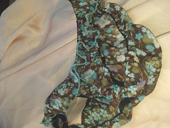 20190525_054624.jpg