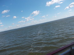 DSCN1320.JPG