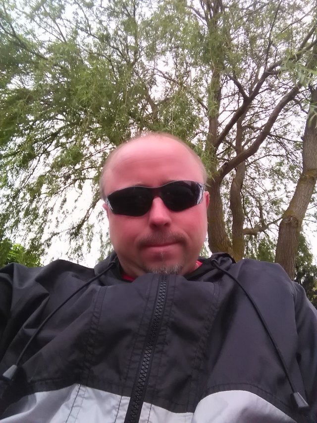 misiektyp