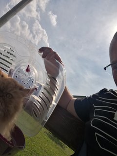 IMG_20190525_152322.jpg