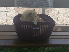 IMG_20190525_150026.jpg