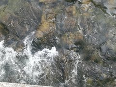 IMG_20190519_160909.jpg