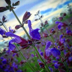 83D23065-3276-44FC-86BB-49A99A3B5F9B.jpeg