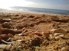 IMG_20181214_104902.jpg