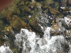 IMG_20190526_152333.jpg