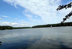 20190527_175910.jpg