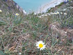 20190525_134543.jpg