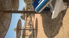 WP_20190524_11_38_06_Pro.jpg