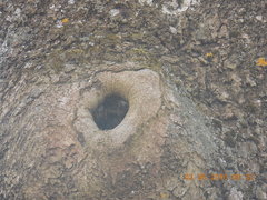 DSCN1138.JPG