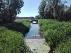 IMG_20190603_110656.jpg