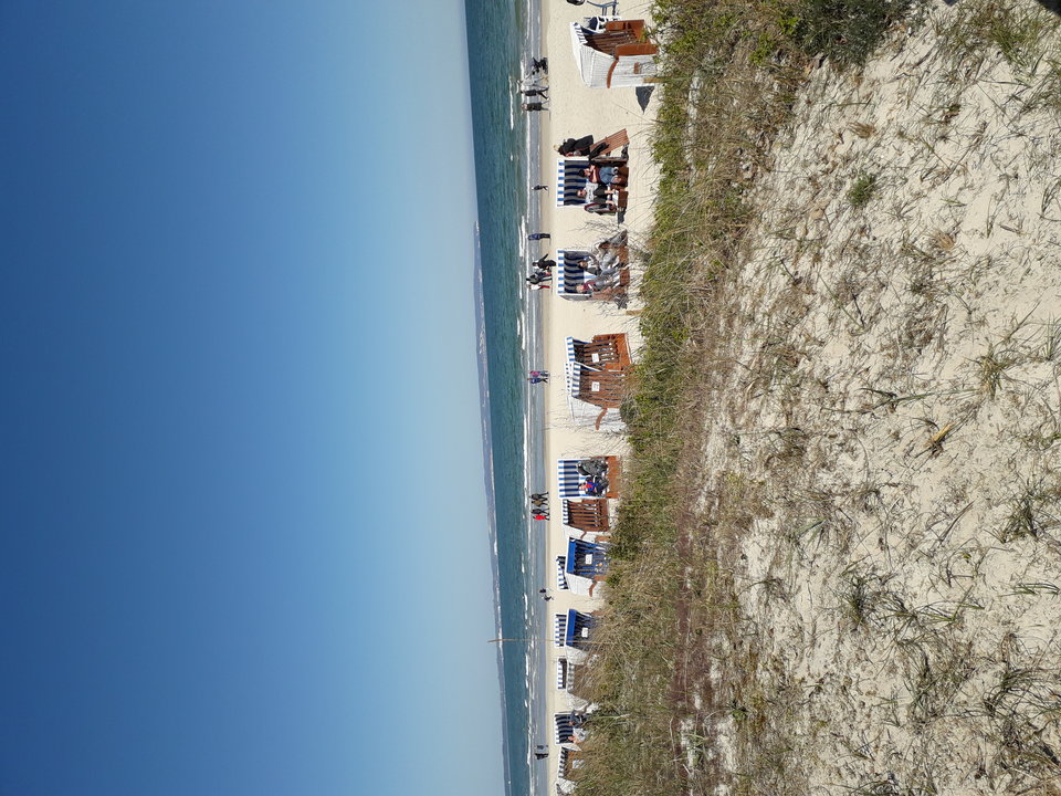 20190419_125036.jpg - Jajola1