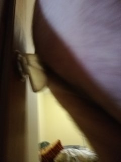 IMG_20190603_193525.jpg