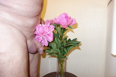 DSC02003.JPG