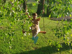 20190604_185915.jpg