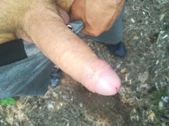 IMG_20190605_145218.jpg