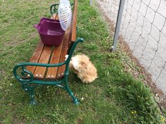IMG_20190506_164400.jpg