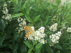 20190606_130433.jpg