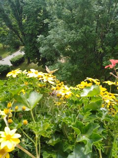 IMG_20190607_101826.jpg