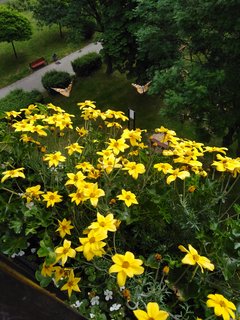 IMG_20190607_104104.jpg