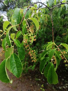 IMG_20190607_180926.jpg