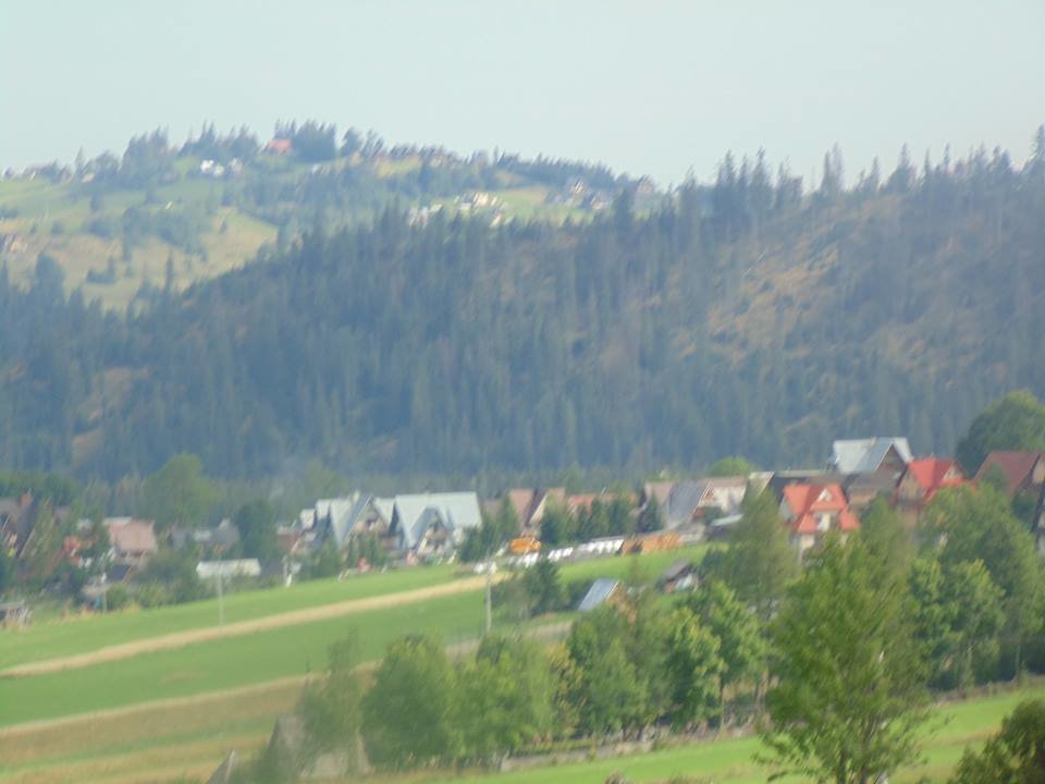 20914229_846515162173132_4313682640936261648_n.jpg - czarus34