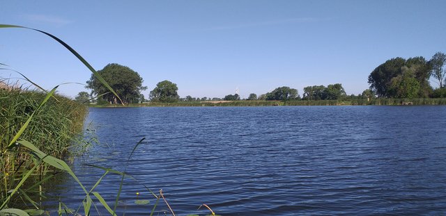 blackhorseszcz