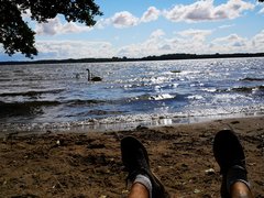 IMG_20180701_094031.jpg