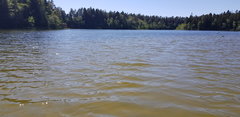 20190609_142713.jpg
