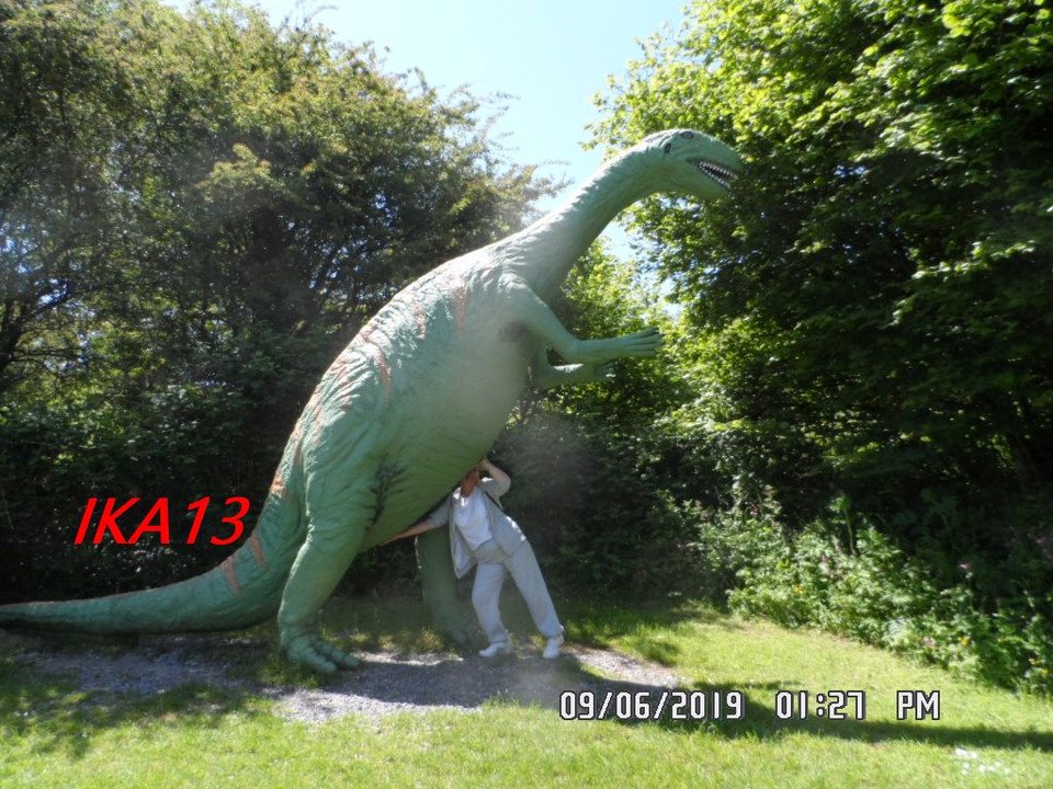 SAM_2042a.jpg - ika13