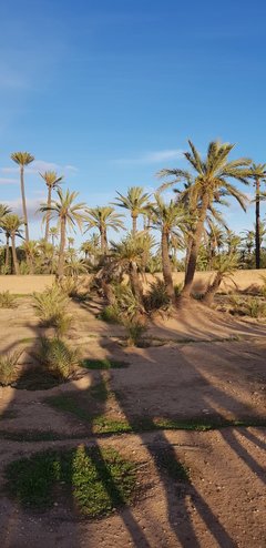 IMG-20181126-WA0011.jpg