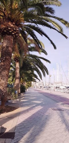 IMG-20181113-WA0000.jpg