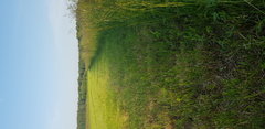 20190610_190106.jpg