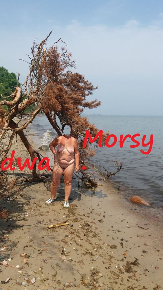 Nad morzem. - Morsy_dwa