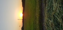 20190611_203250.jpg