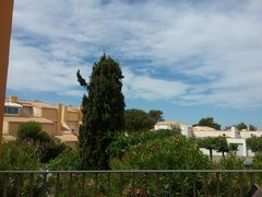 20190613_161353.jpg