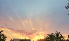 IMG_20190613_212446.jpg