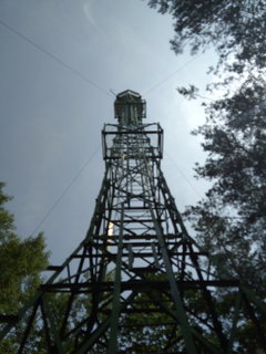 IMG_20190615_105249_BURST003.jpg