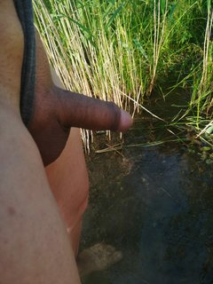 IMG_20190615_194715.jpg
