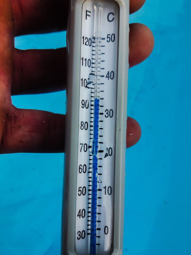 Arczi38