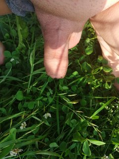 IMG_20190615_194056.jpg